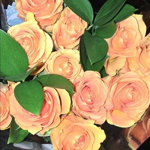 Meet your Posher, Bridgette